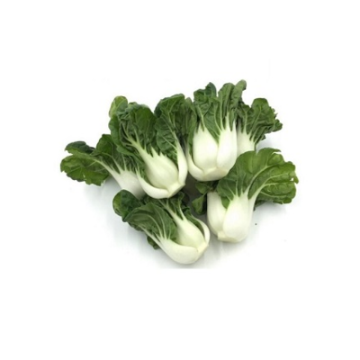 bayam-hijau-green-spinach