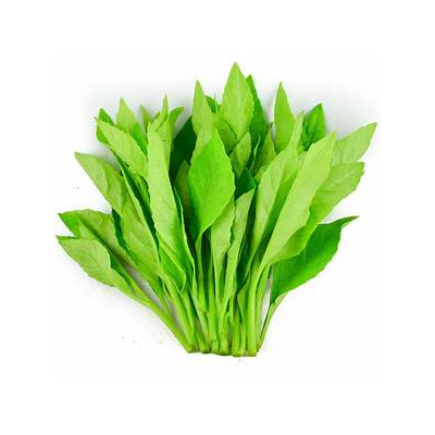 choy_sum_370027576