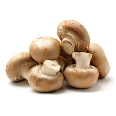 fresh-button-mushroom-500x5002x