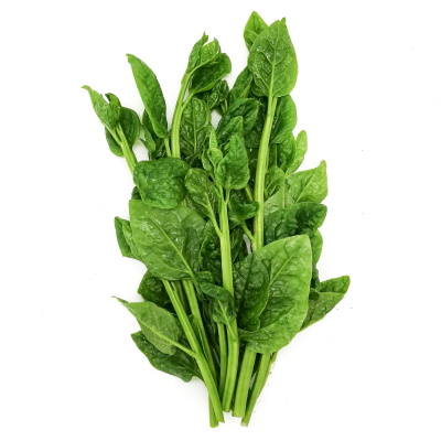 new-zealand-spinach