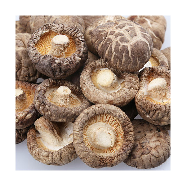 dried-shiitake-mushroom-50g-100g-200g-400g-dried-oyster-porcini-morel-boletus-lions-mane-black-fungus-wild-mushroom_2090368094