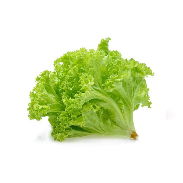 green_growers_green_coral