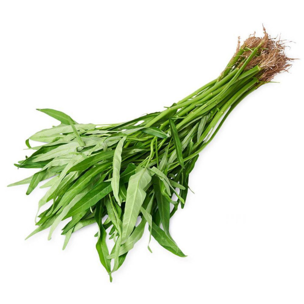 kangkung