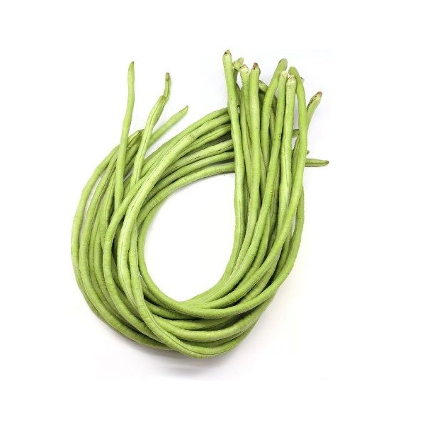 long_bean_110769930