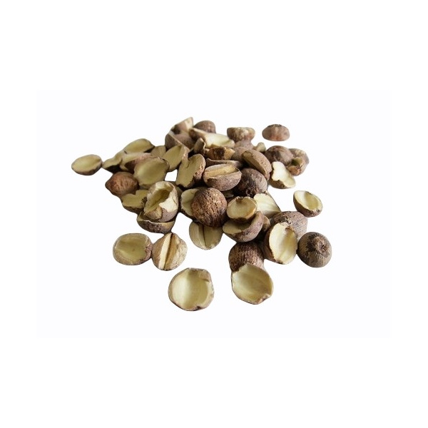 lotus_seed