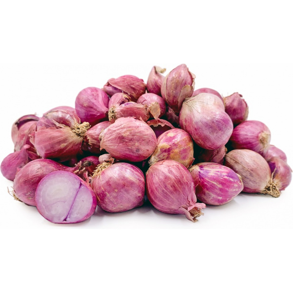 shallot_467645469
